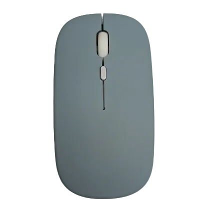 mouse-souris-apple-ergonomique-gris