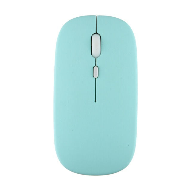 mouse-souris-apple-ergonomique