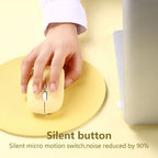 mouse-souris-apple-ergonomique